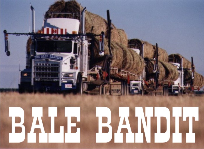 link to bale bandit bale carrier page